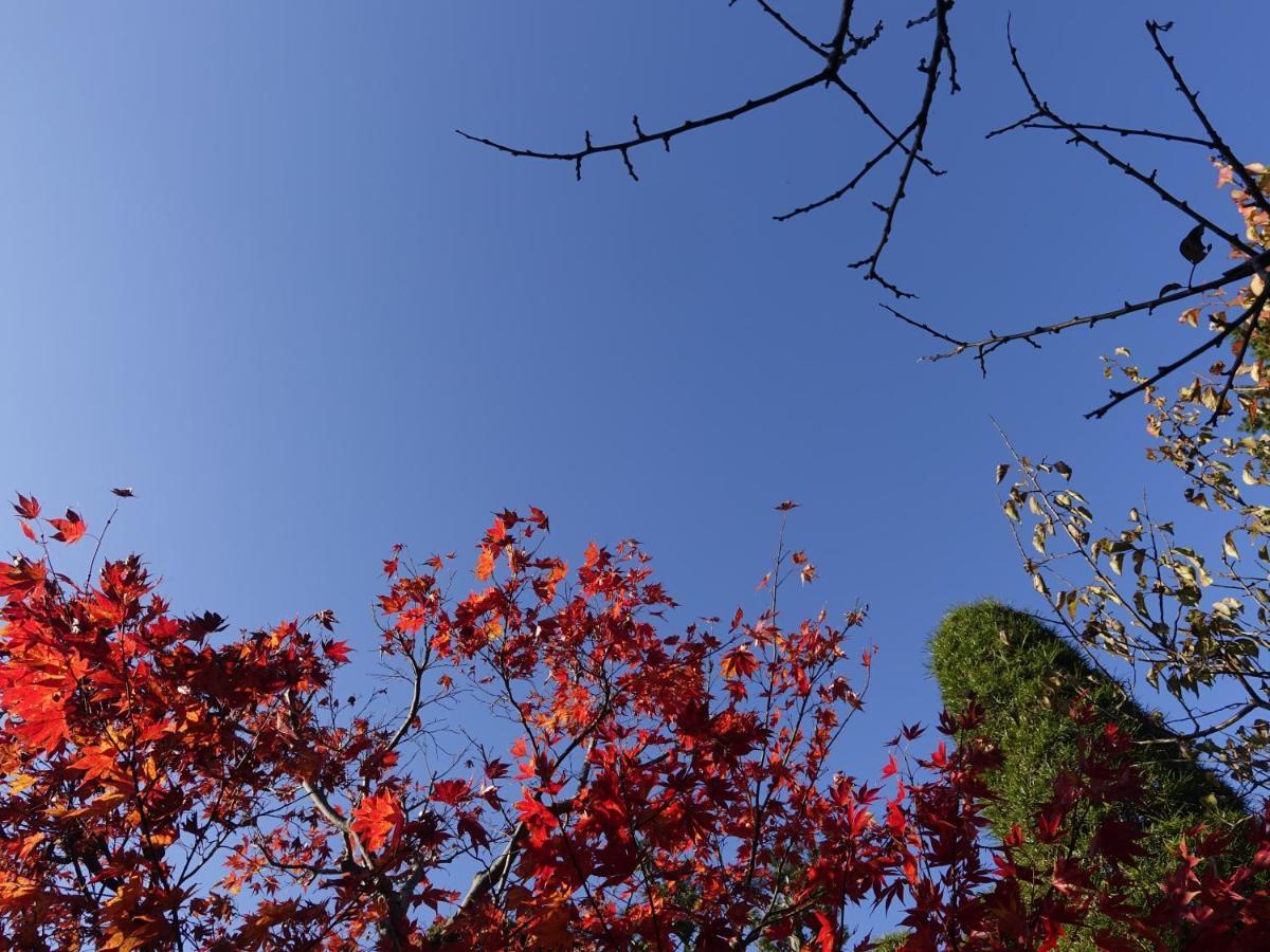 Apartmán Oimatsuen Saku Exteriér fotografie